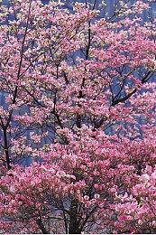 巴西游戏厂商QUByte将于10月31日举行线上发布会